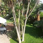Apartament A Casa Di Marley