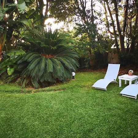 A Casa Di Marley アパート