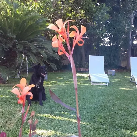 A Casa Di Marley *