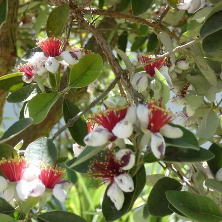 A Casa Di Marley Lägenhet *