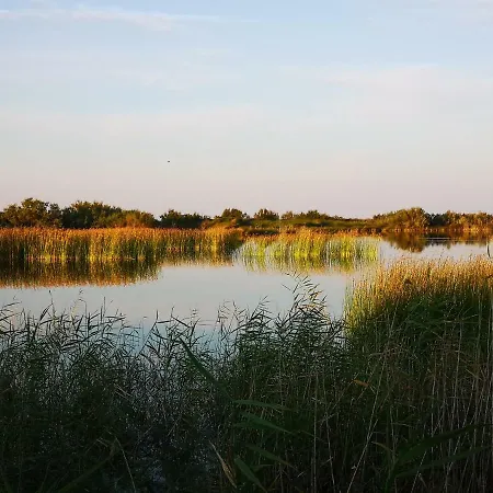 A Casa Di Marley アパート レッチェ